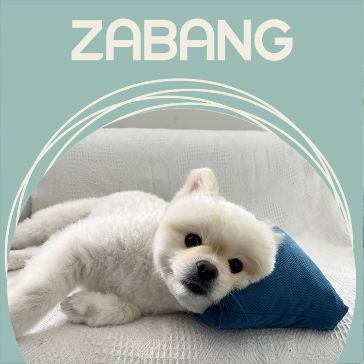 자방 강아지 베개 애견 방석 바디필로우 쿠션 고양이 스탠다드 에어칩 20X40 다크그레이