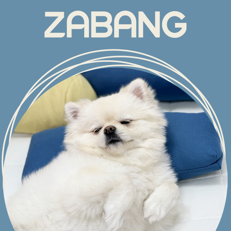 자방 강아지 베개 애견 방석 바디필로우 쿠션 고양이 스탠다드 에어칩 20X40 다크그레이