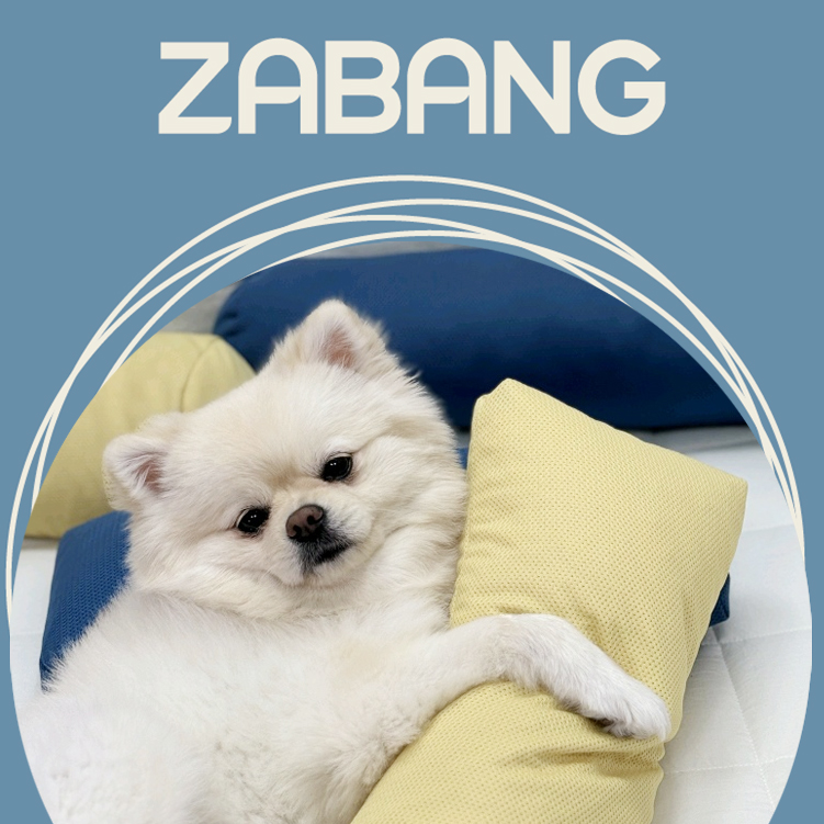 자방 강아지 베개 애견 방석 바디필로우 쿠션 고양이 스탠다드 에어칩 20X40 다크그레이